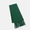 CLOSED UNISEX Foulard Fir Green -Promos CLOSED Magasin 43df7b39171d4b0b92be155a3f827fd0