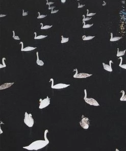 CLOSED T Shirt Imprimé Black Homme 16 CLOSED T Shirt Imprimé Black Homme -Promos CLOSED Magasin b5db479188e8422f867b0c49e9c3b120